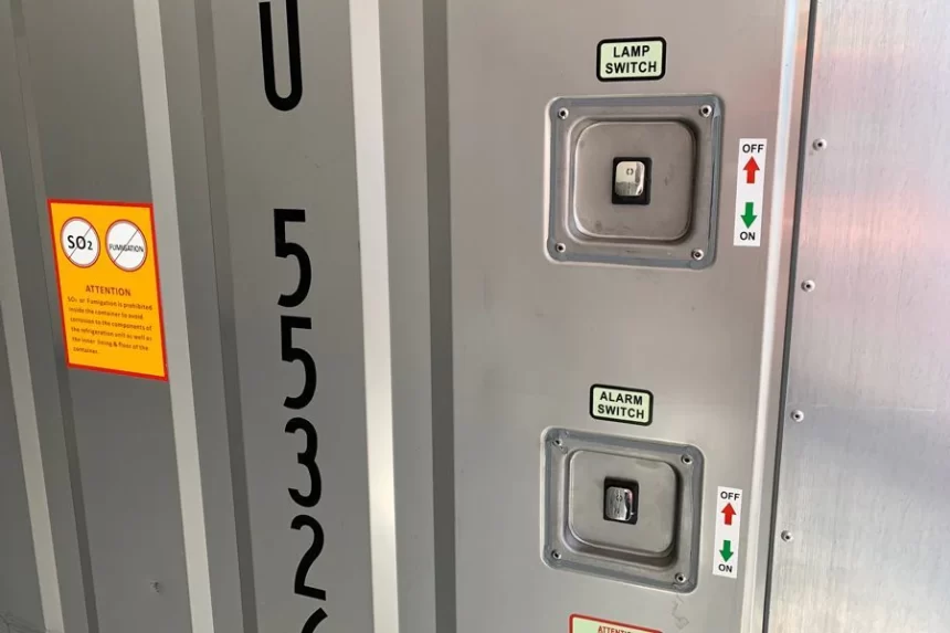 Contentores refrigerados novos de 20 pé - Image 2